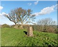 Trig Point on Beacon Hill