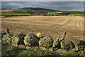 Field near Darnford