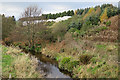 Polytunnels above the Burn of Sheeoch