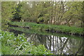 TL8484 : River Little Ouse by N Chadwick