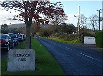 O2117 : The road from Kilgarron Park to Kilmallin by David Sands
