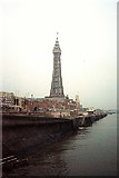 SD3036 : Blackpool Tower by norman griffin