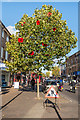 Orpington High Street - poppies