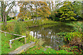 Duck pond at Wyck Rissington