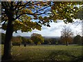 Eaglesfield Recreation Ground in autumn