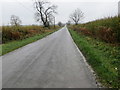 A section of the long straight road from Fulready to Whatcote