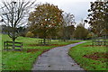 Track to Houghton Down Farm