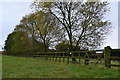 Fence and trees at Meon Hill Farm