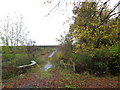 Bridge and path to Priory Farm Lane 