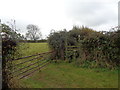 Stile and field gate on Goomshill Farm