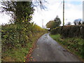 Late autumn view of a lane in Cross Ash, Monmouthshire