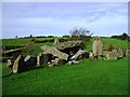 Clontygora Court Tomb