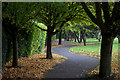 Station Road footpath