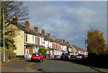 SO9596 : Terraced housing in Bilston, Wolverhampton by Roger  D Kidd