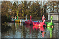 Boating lake, Alexandra Park