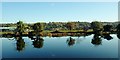 View East across the Newry Canal