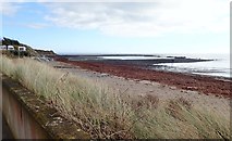 J2105 : View East towards Cooley Point from Templetown Beach car park by Eric Jones