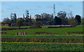 Hollygate Farm near Cotgrave