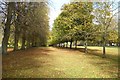 SP4079 : Avenue of trees, Coombe Abbey by Philip Halling