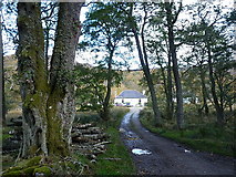 NH5619 : Cottage hiding in the woods at Easter Aberchalder by Richard Law