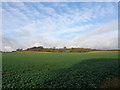 A small hill and blue sky