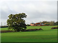 Tree and Lench Farm, Knighton Lane, Inkberrow