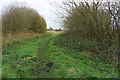 Path leading to Rest Park