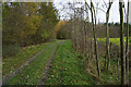 Farm Track near Rest Park Farm