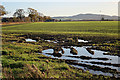 Waterlogged Field