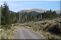 NS0886 : Logging road, Glen Tarsan by Richard Webb