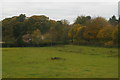 Houses on Loudham Hall Road, from the railway