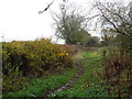 Muddy path near Inkberrow