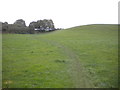 Bridleway up Beacon Hill west of Beauvale