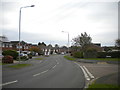 North end of Nabbs Lane, Beauvale