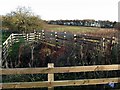 Footbridge at Dewley Burn