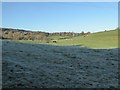 Farmland at Horningsham