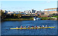 SK5838 : Rowers on the River Trent in Nottingham by Mat Fascione