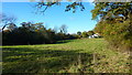 Field Adjacent to Small Lane, Near Mobberley