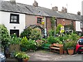 Cottage gardens, Ravenglass village