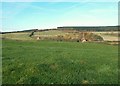 Silo Farm and reservoir from Beacon Hill