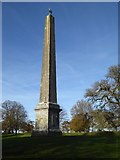 ST7734 : Obelisk, Stourhead Gardens by Philip Halling