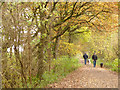 Dog walkers on the Whitegate Way