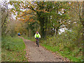 Cyclist on the Whitegate Way