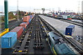 Freightliner terminal at Dock Gate 20