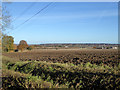 Ploughed field west of Langham