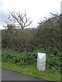 Milestone by A39 on the edge of Glastonbury