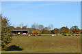 Cattle, Woodlands Farm