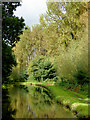 Staffordshire and Worcestershire Canal near Stafford