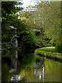 Staffordshire and Worcestershire Canal near Stafford