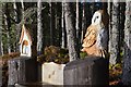 NH9121 : Owls in Carr Plantation by Jim Barton